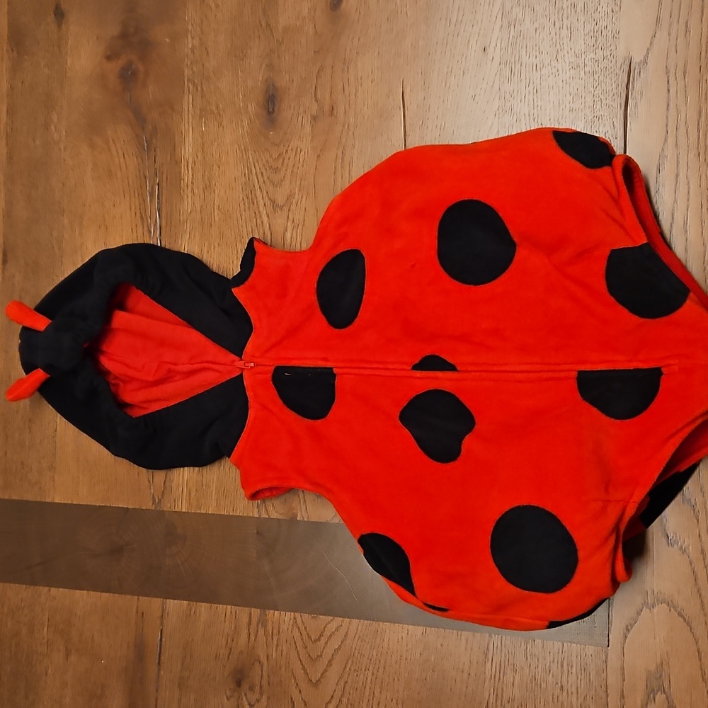 Ladybug Costune